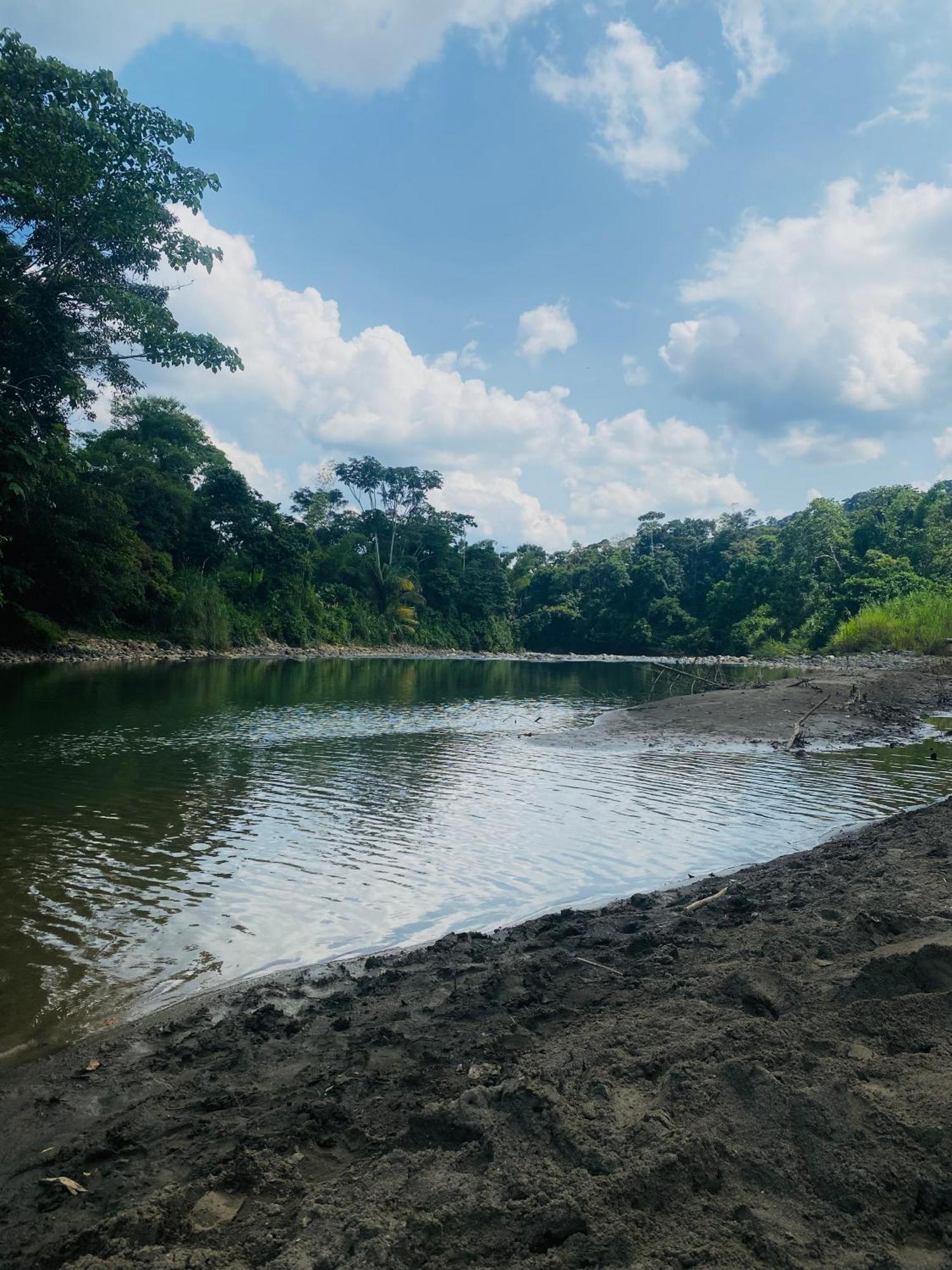 Вілла Casa En Santuario Natural En La Amazonia Veracruz  Екстер'єр фото