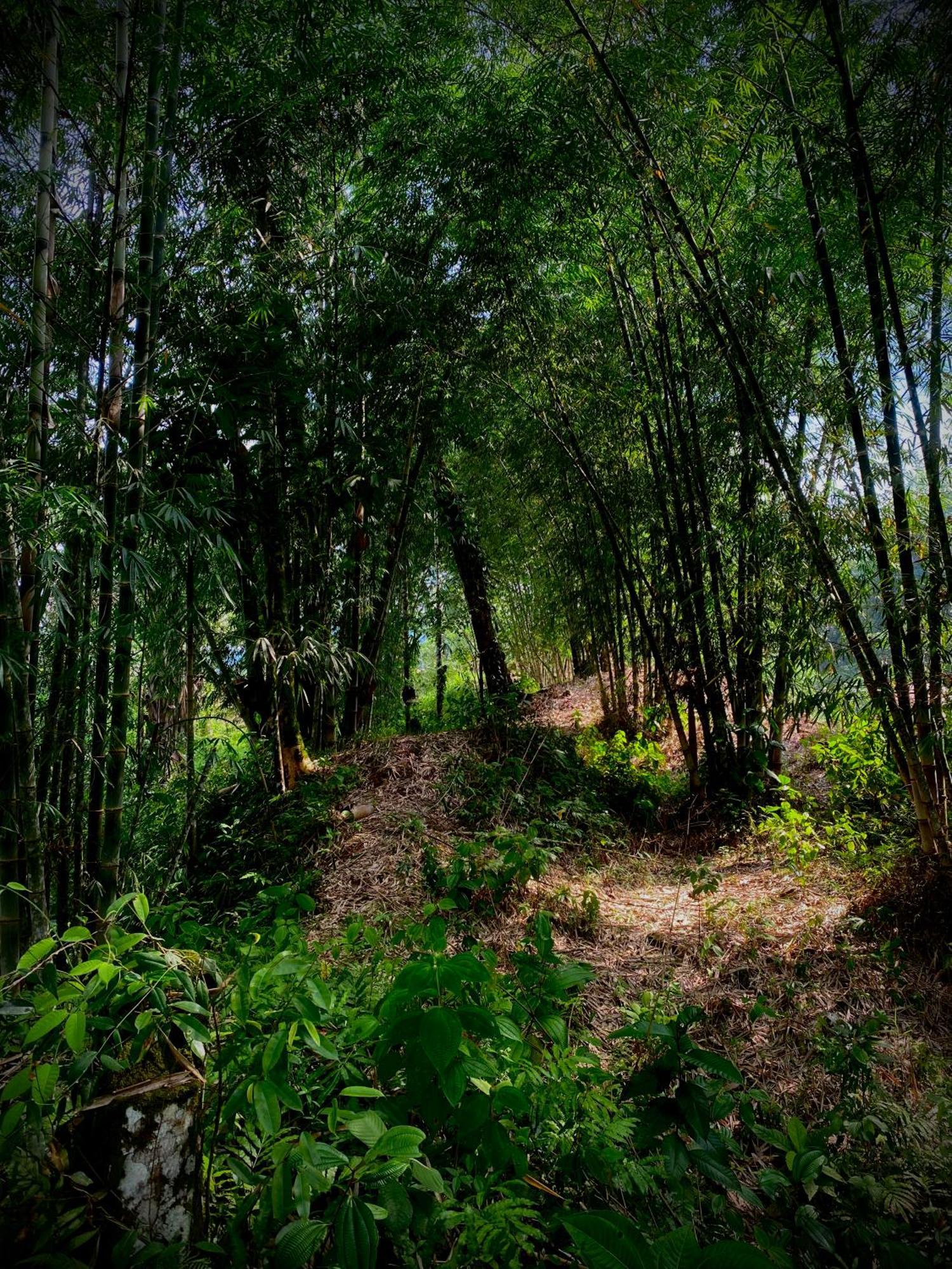 Вілла Casa En Santuario Natural En La Amazonia Veracruz  Екстер'єр фото